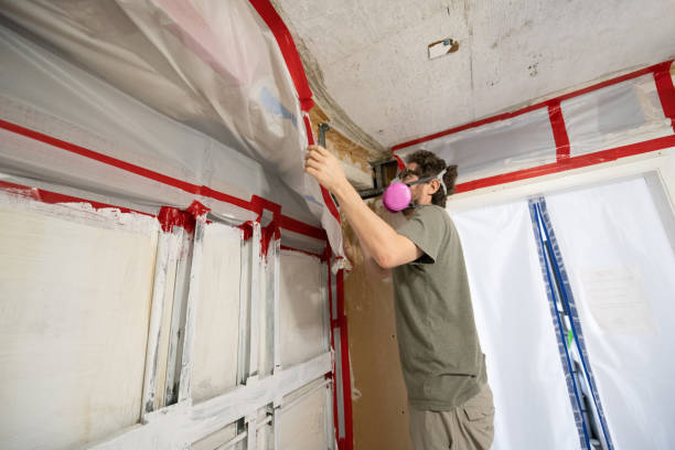 Mold Odor Removal Services